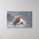 Search for florida seashells art Sand