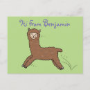 Search for cartoon llama postcards Funny