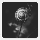 Search for mollusk stickers Snail