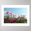 Search for cosmo posters Floral