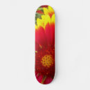 Search for pretty skateboards Beautiful