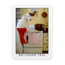 Recherche de lévriers magnets Chiens