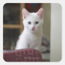 Search for animal body part stickers Indoors
