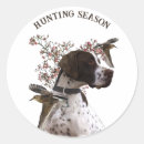 Search for english pointer stickers Hunting dog