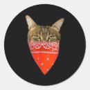 Search for cat labels Red