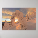 Search for whitefish posters Mountain