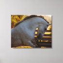 Search for andalusian horse art Lusitano