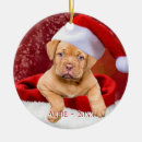 Search for pitbull ornaments Puppy