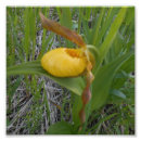 Search for 6x6 posters Nature