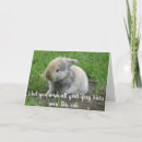Search for funny bunny cards Hare
