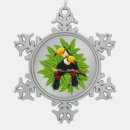 Recherche de toucan ornements Jungle