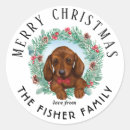 Search for dachshund stickers Wiener