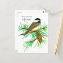 Recherche de pinecone cartes postales Pour tous
