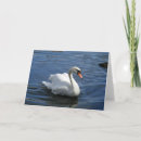 Recherche de cygne muet vœux cartes Cygnes