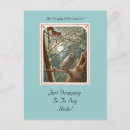 Search for little owl postcards Squirrel