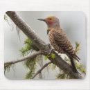 Search for gary mousepads Usa