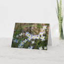 Search for blank nature cards Photography