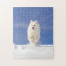 Recherche de neige puzzles Chien