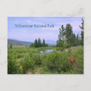 Recherche de prairie cartes postales Vacances