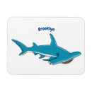 Recherche de requins magnets Requin marteau