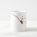 Search for arachnids drinkware Halloween