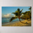 Recherche de danita delimont posters Beach