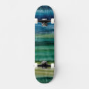 Search for layer skateboards Paints