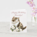 Search for cat and flowers cards Floral