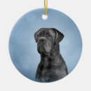 Search for mastiff ornaments Cute