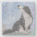 Search for border collie coasters Black and white