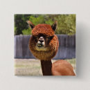 Search for alpaca buttons Animals