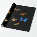 Search for moth wrapping paper Beautiful