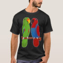 Search for eclectus parrot Parakeet