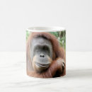 Search for cute monkey face mugs Orangutan