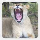 Recherche de panthera autocollants Faune