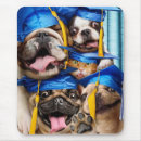 Search for graduation mousepads Funny
