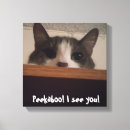 Recherche de espiègle art Chat