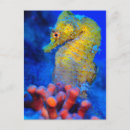 Search for hippocampus postcards Ocean