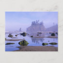 Search for environment postcards Coast