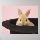Search for easter kids posters Animal