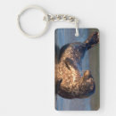 Search for baby seal keychains Christopher talbot frank