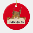 Search for nuts ornaments Squirrel