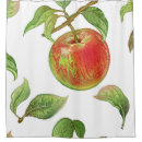 Search for apple green shower curtains Red