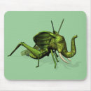 Recherche de sauterelles tapis souris Cricket