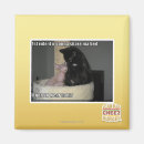 Search for gonna magnets I can has cheezburger