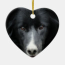 Recherche de border collie ornements Animal familier