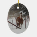 Search for equine ornaments Western