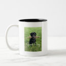 Search for dog agility mugs Funny