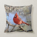 Recherche de cardinal du nord coussins Nature