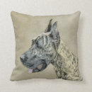 Recherche de brindle coussins Peinture